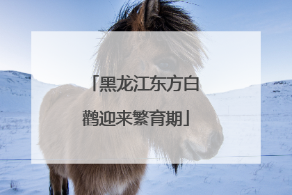 黑龙江东方白鹳迎来繁育期