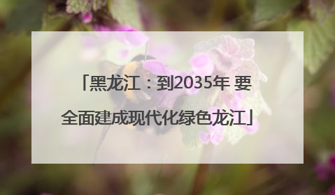 黑龙江：到2035年 要全面建成现代化绿色龙江
