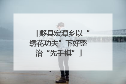 黟县宏潭乡以“绣花功夫”下好整治“先手棋”