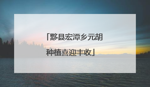 黟县宏潭乡元胡种植喜迎丰收