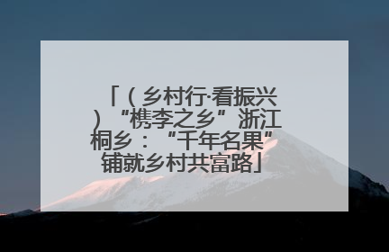 （乡村行·看振兴）“槜李之乡”浙江桐乡：“千年名果”铺就乡村共富路