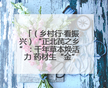 （乡村行·看振兴）“正北芪之乡”：千年草本焕活力 药材生“金”富农家