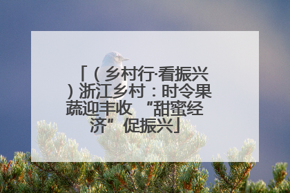 （乡村行·看振兴）浙江乡村：时令果蔬迎丰收 “甜蜜经济”促振兴