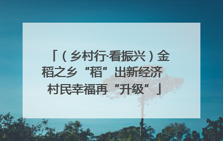 （乡村行·看振兴）金稻之乡“稻”出新经济 村民幸福再“升级”
