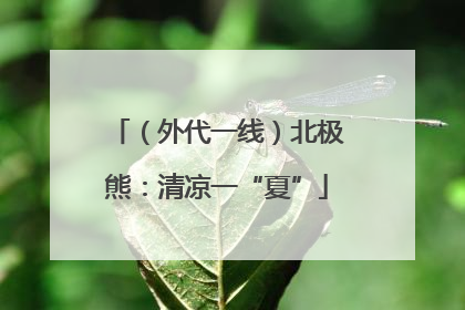 （外代一线）北极熊：清凉一“夏”