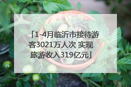 1-4月临沂市接待游客3021万人次 实现旅游收入319亿元
