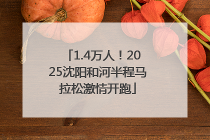 1.4万人！2025沈阳和河半程马拉松激情开跑