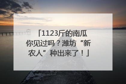 1123斤的南瓜你见过吗？潍坊“新农人”种出来了！