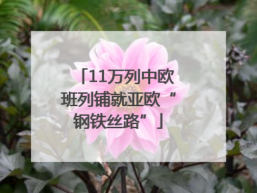 11万列中欧班列铺就亚欧“钢铁丝路”