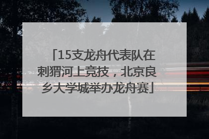 15支龙舟代表队在刺猬河上竞技，北京良乡大学城举办龙舟赛