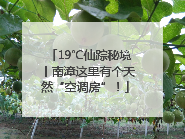 19℃仙踪秘境丨南漳这里有个天然“空调房”！