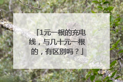 1元一根的充电线，与几十元一根的，有区别吗？
