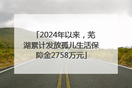 2024年以来，芜湖累计发放孤儿生活保障金2758万元