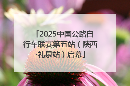 2025中国公路自行车联赛第五站（陕西·礼泉站）启幕