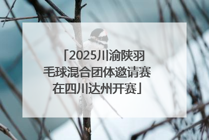 2025川渝陕羽毛球混合团体邀请赛在四川达州开赛