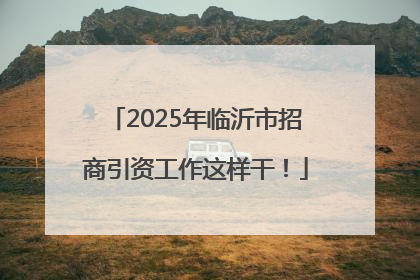 2025年临沂市招商引资工作这样干！