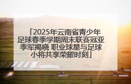 2025年云南省青少年足球春季学期周末联赛冠亚季军揭晓 职业球星与足球小将共享荣耀时刻