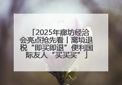 2025年廊坊经洽会亮点抢先看丨离境退税“即买即退”便利国际友人“买买买”