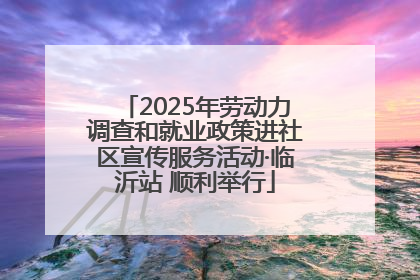 2025年劳动力调查和就业政策进社区宣传服务活动·临沂站 顺利举行