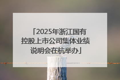 2025年浙江国有控股上市公司集体业绩说明会在杭举办