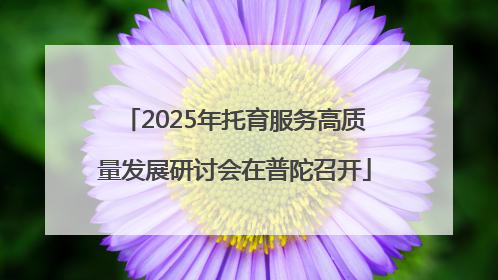 2025年托育服务高质量发展研讨会在普陀召开