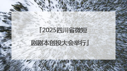 2025四川省微短剧剧本创投大会举行