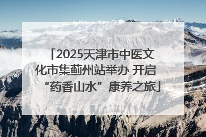 2025天津市中医文化市集蓟州站举办 开启“药香山水”康养之旅