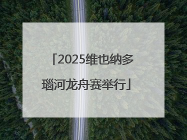 2025维也纳多瑙河龙舟赛举行