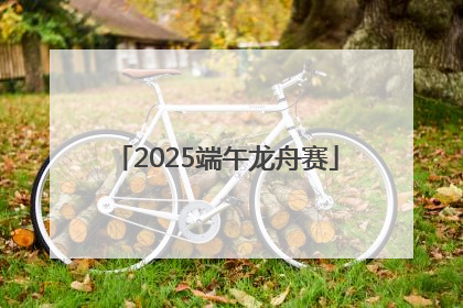 2025端午龙舟赛