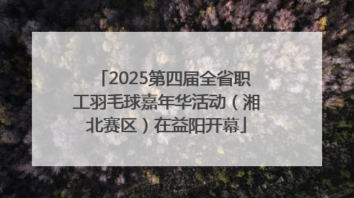 2025第四届全省职工羽毛球嘉年华活动（湘北赛区）在益阳开幕