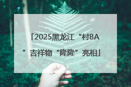 2025黑龙江“村BA”吉祥物“隆隆”亮相