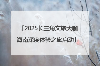 2025长三角文旅大咖海南深度体验之旅启动