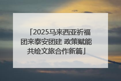 2025马来西亚祈福团来泰安团建 政策赋能共绘文旅合作新篇