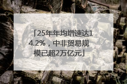 25年年均增速达14.2%，中非贸易规模已超2万亿元