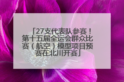 27支代表队参赛！第十五届全运会群众比赛（航空）模型项目预赛在北川开赛