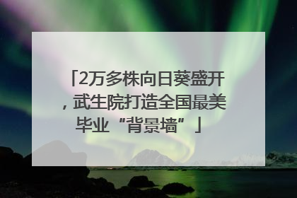 2万多株向日葵盛开，武生院打造全国最美毕业“背景墙”