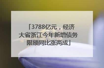 3788亿元，经济大省浙江今年新增债务限额同比涨两成