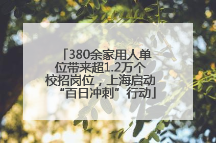 380余家用人单位带来超1.2万个校招岗位，上海启动“百日冲刺”行动