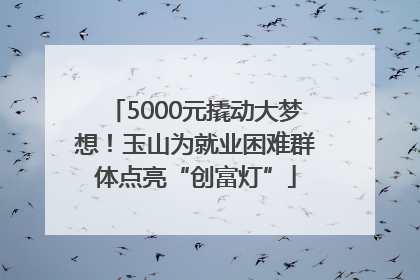 5000元撬动大梦想！玉山为就业困难群体点亮“创富灯”