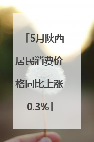 5月陕西居民消费价格同比上涨0.3%