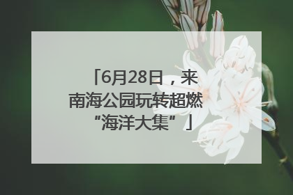6月28日，来南海公园玩转超燃 “海洋大集”