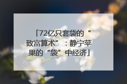 72亿只套袋的“致富算术”：静宁苹果的“袋”中经济