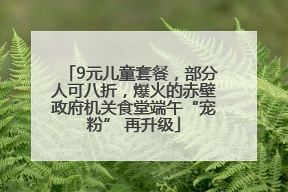 9元儿童套餐，部分人可八折，爆火的赤壁政府机关食堂端午“宠粉” 再升级