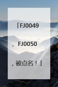 FJ0049、FJ0050，被点名！