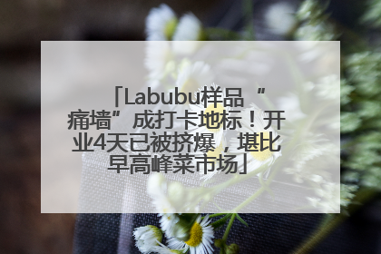 Labubu样品“痛墙”成打卡地标！开业4天已被挤爆，堪比早高峰菜市场