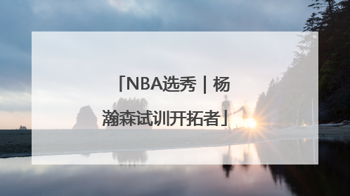 NBA选秀｜杨瀚森试训开拓者