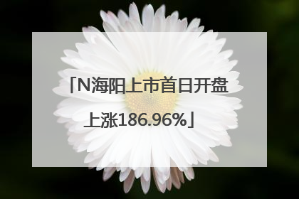 N海阳上市首日开盘上涨186.96%