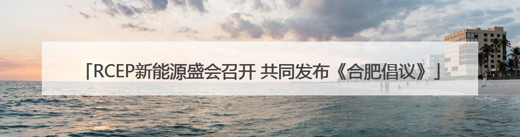 RCEP新能源盛会召开 共同发布《合肥倡议》